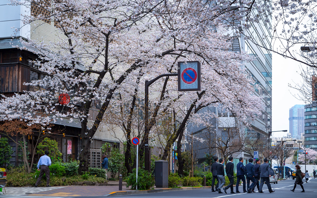 ginza