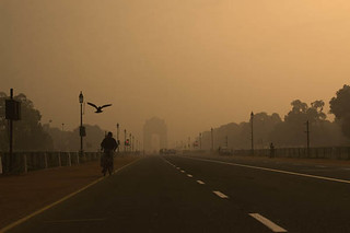 Cycle Rider & Pigeon on Rajpath. New Delhi