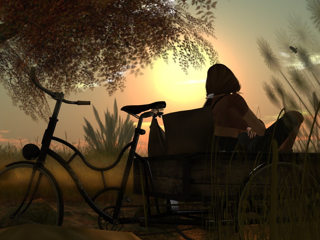 solitude