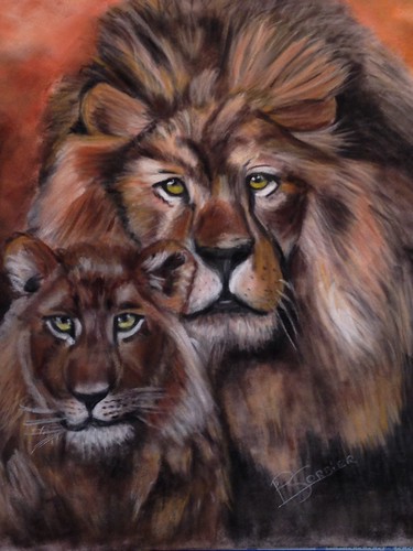 Couple de  Lions