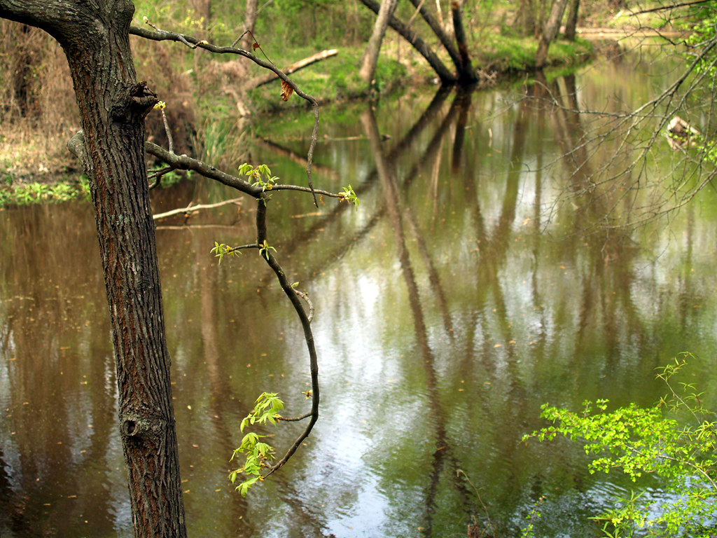 Bayou Bartholomew
