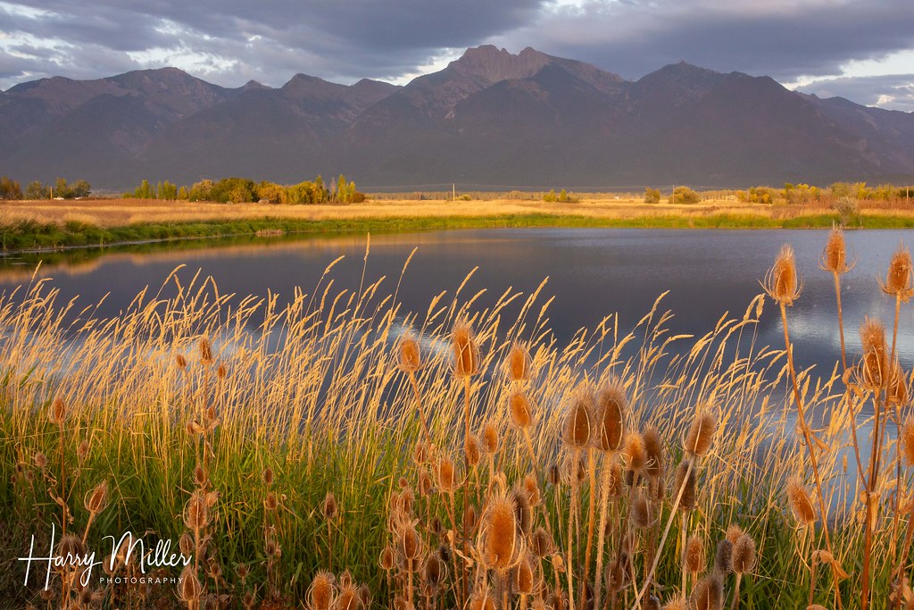 Ninepipe National Wildlife Refuge