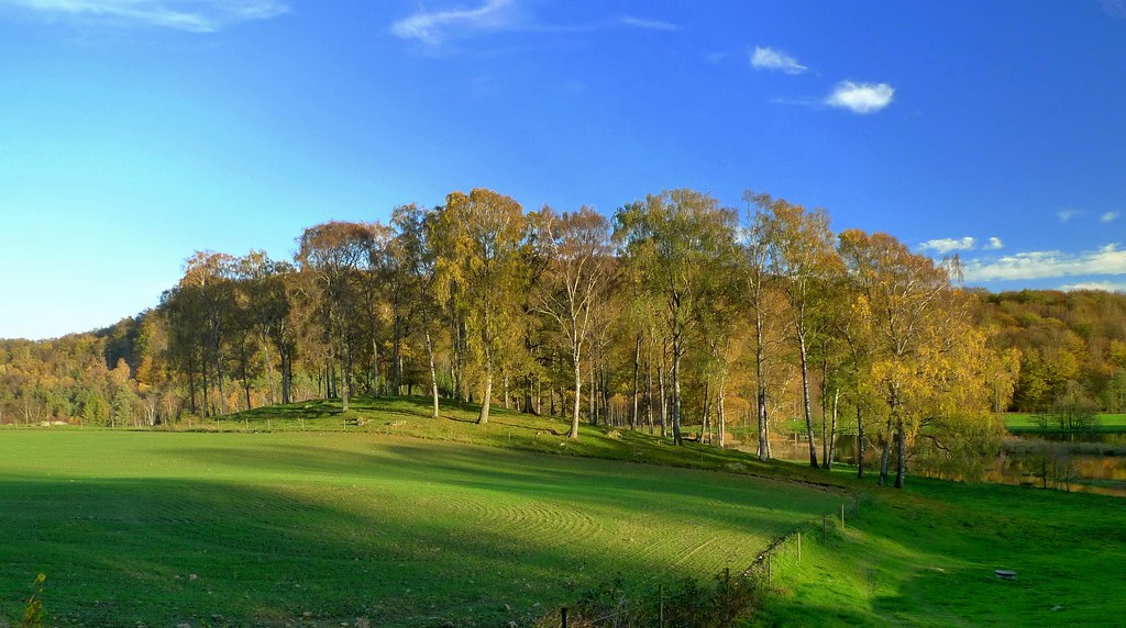 Sunny Hill