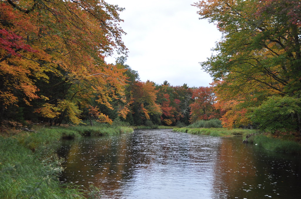 Mersey River
