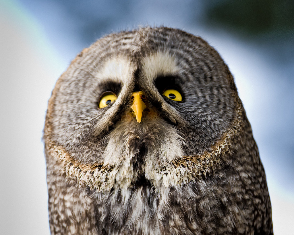 M'estas dient gamar&uacute;s? / Are you talkin' to me?