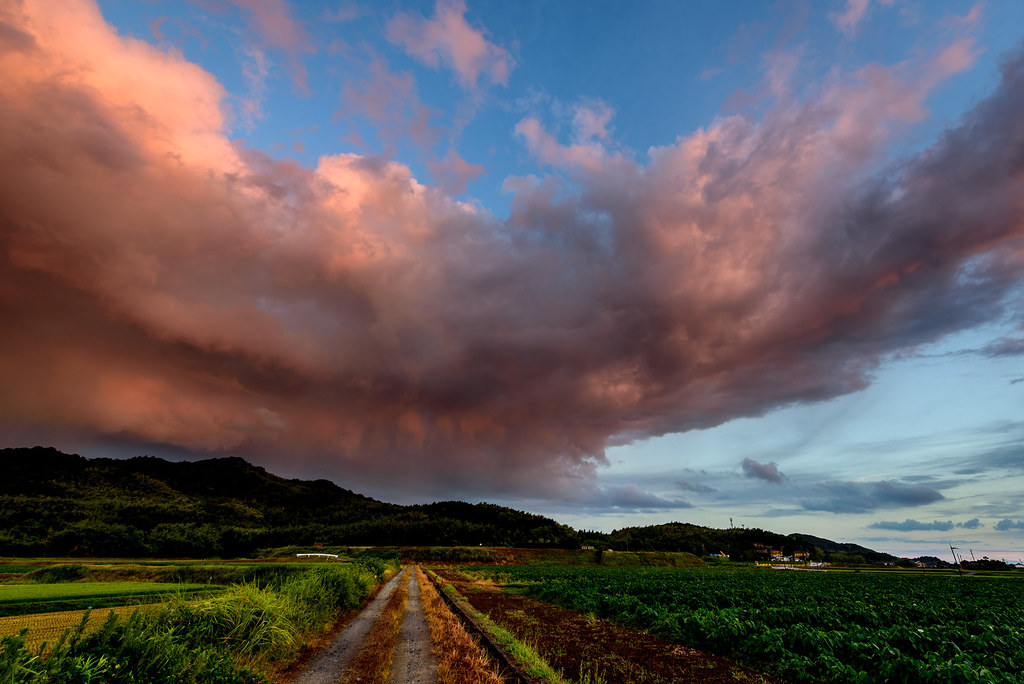 雨後の青空ー Blue sky after the rain