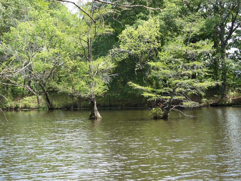 Bayou Bartholomew