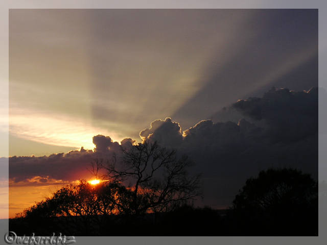 Sunset from my verandah / series / 11DEC04