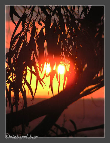 sunset from my verandah series / 11Dec04