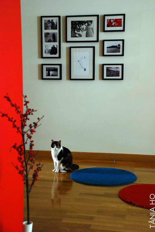 corners of my home: our framed wall