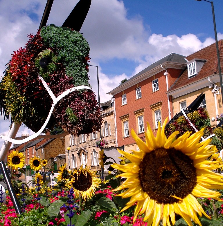 A July weekend in Banbury- The Happy, Blooming Donkey!