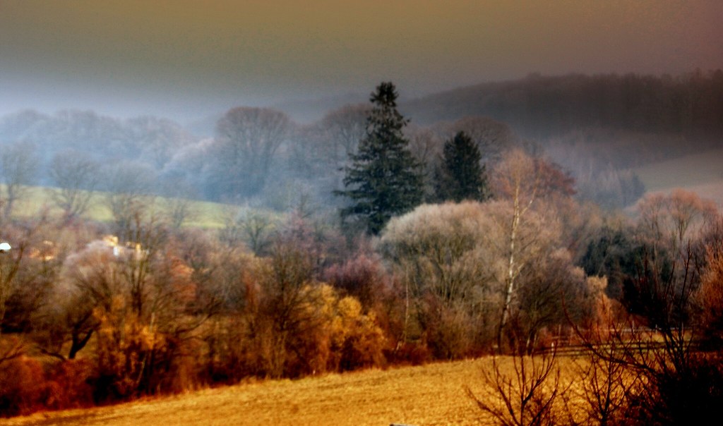 landscape in soft morning light