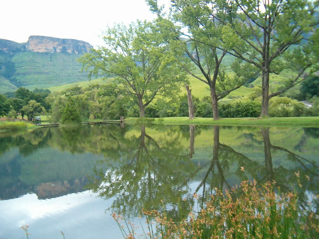 lake reflection