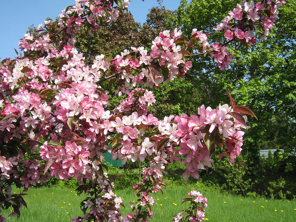 Le printemps en pleine forme!