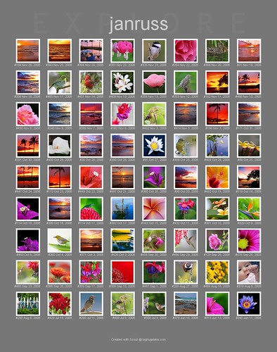 288 Explore Photos Page 3