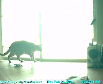 newtcam 022306-0952