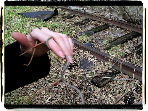 laura's hand border copy