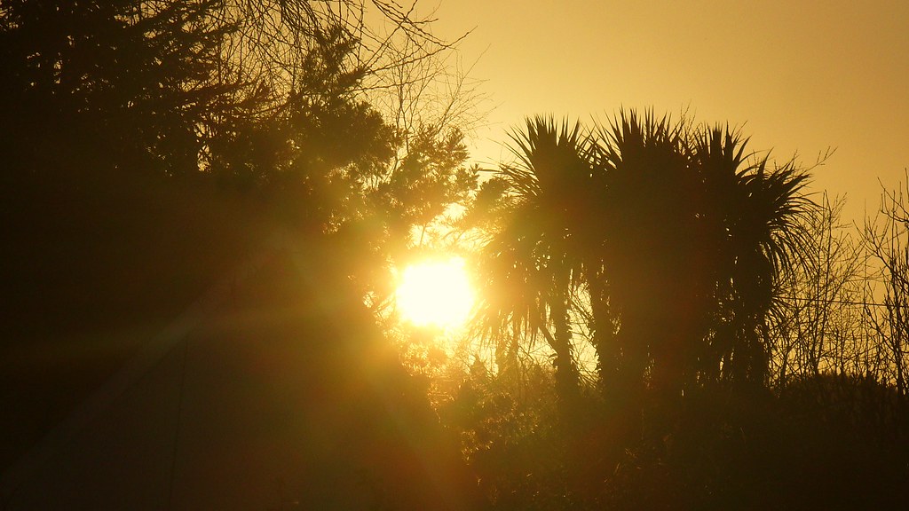Late afternoon sun