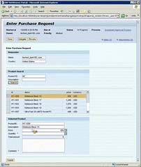 SAP NetWeaver BPM Task Interface