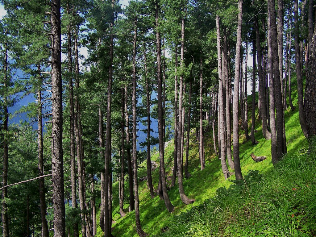 Shogran in the Kaghan Valley, NWFP, Pakistan - June 2009