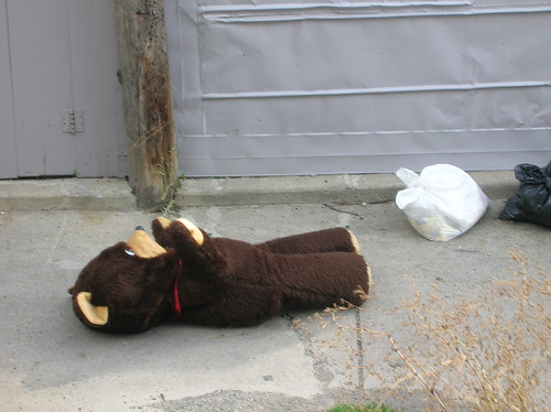 teddy bear