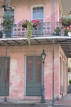 Pink and Green in New Orleans