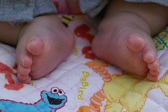 puku puku