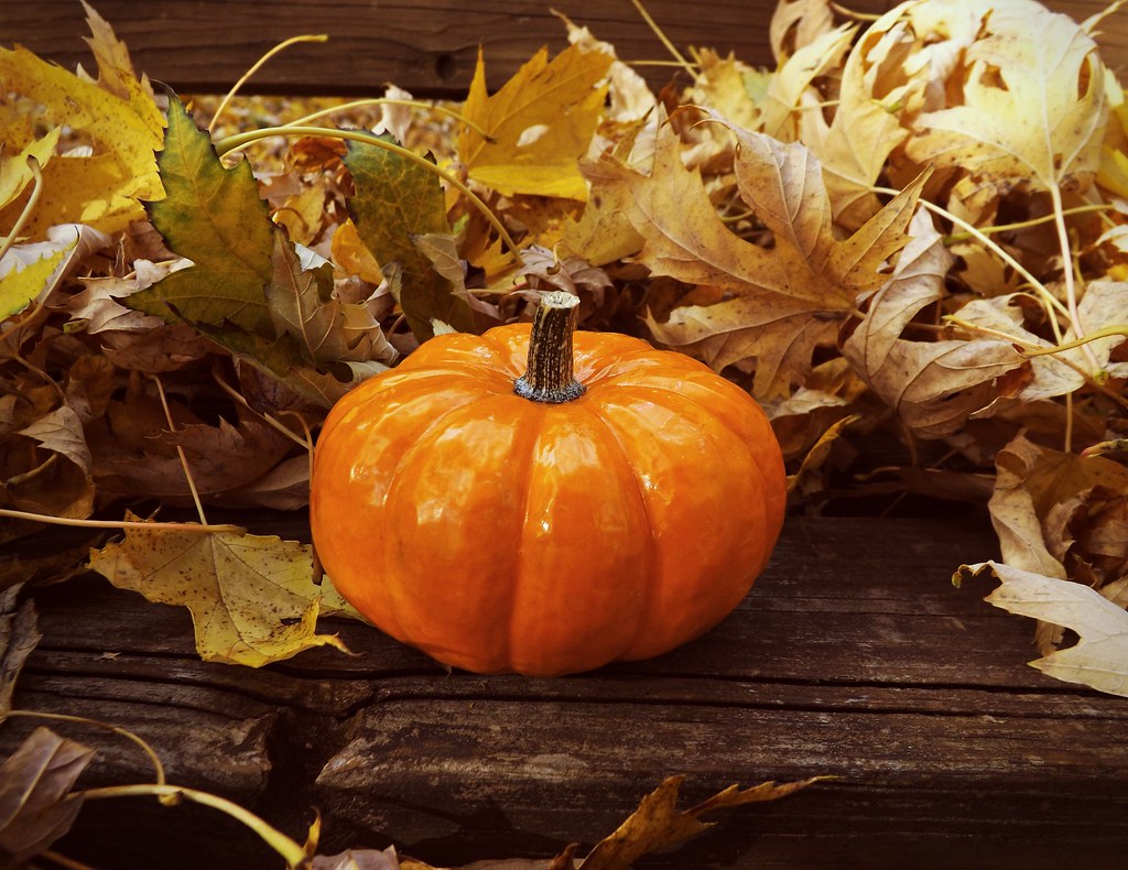 Lonely Pumpkin