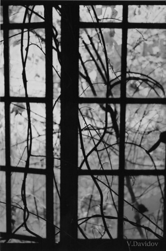 Metro Window 2