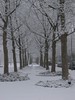Sneeuw in Eindhoven