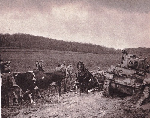 1944 - Franche Comté - Près de Belfort, des paysans prêtent leurs boeufs à un convoi en difficulté - éditions GP - Du Tchad au Danube