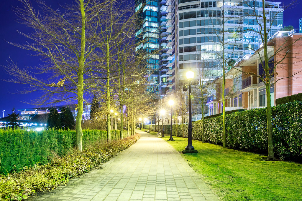 Walk Path Night