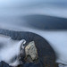 Winter afternoon walk:  Reflection