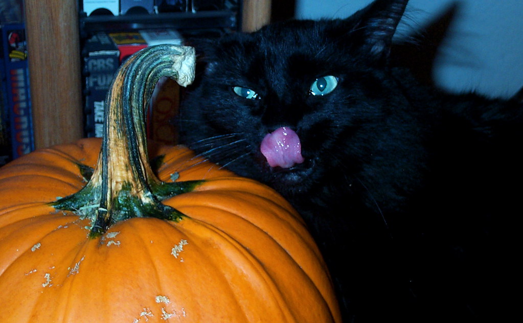 Tasty