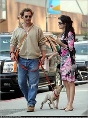 famous cattle dogs