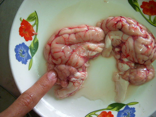 吃豬腦有什麼用 - 豬腦料理