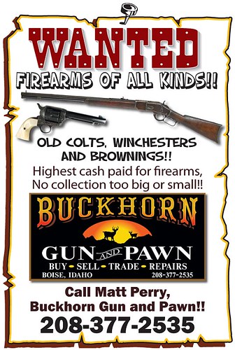 buckhorn gun and pawn BUYING Ad Just horses copy