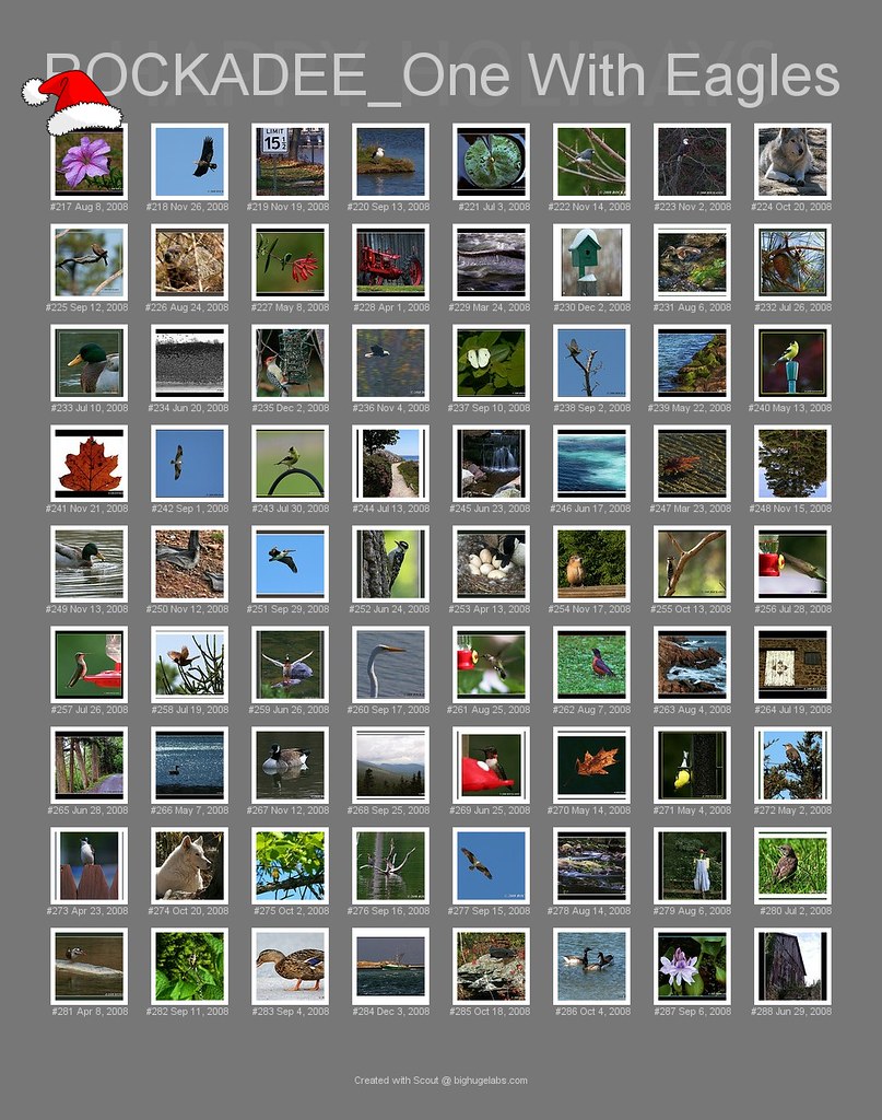 My Creations Personal Journey