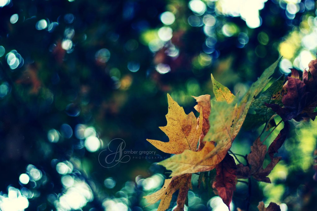 She seemed to move everywhere dancing & music followed her like leaves on the wind