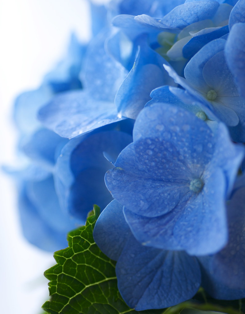 A blue moment ...