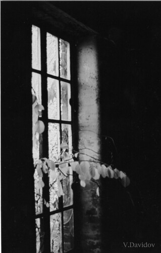 Metro Window I