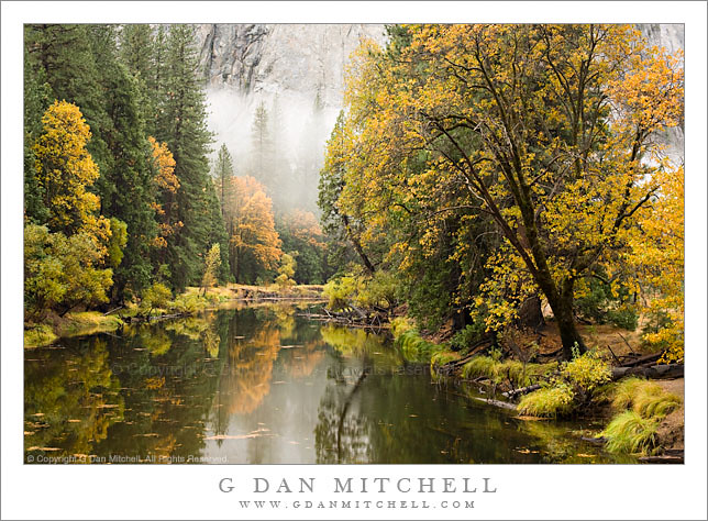 Merced River Fall Color, El Capitan Meadow Bridge