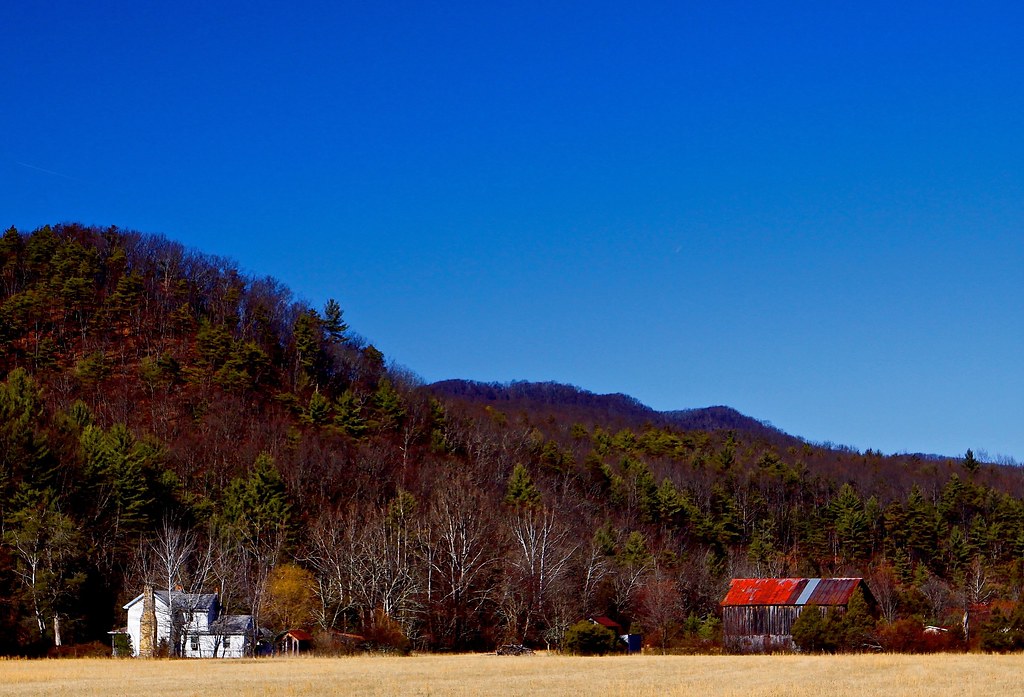 The Homestead