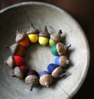 rainbow acorn color wheel