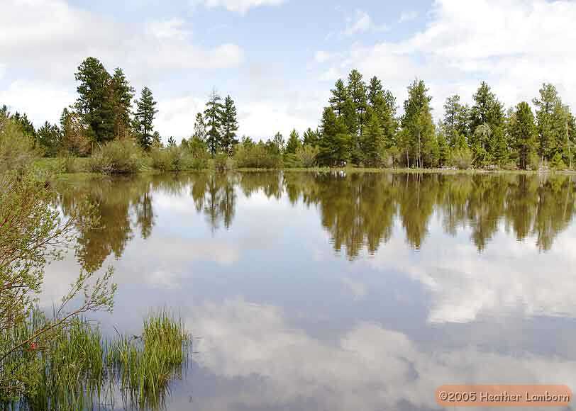 Reflecting Pond