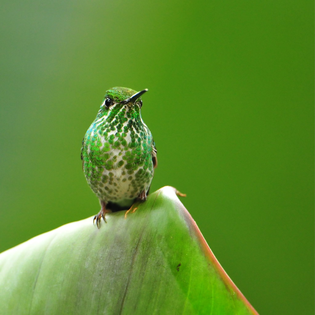 pensive