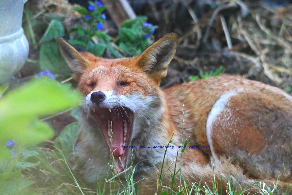 It's Been a Hard Days Night....