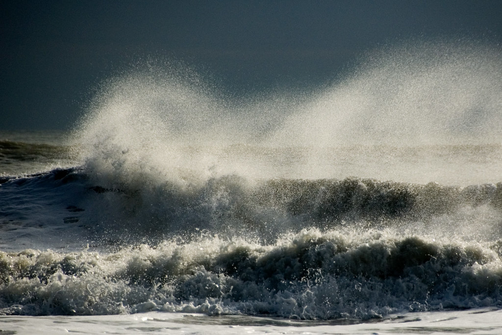 Surf + Wind