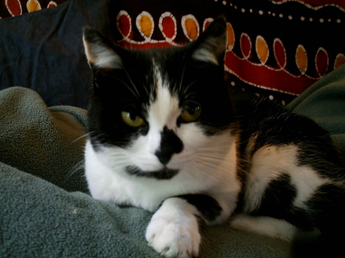 Molly