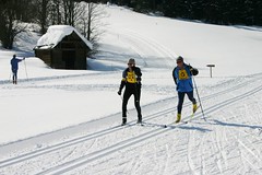 Blind skier with guide